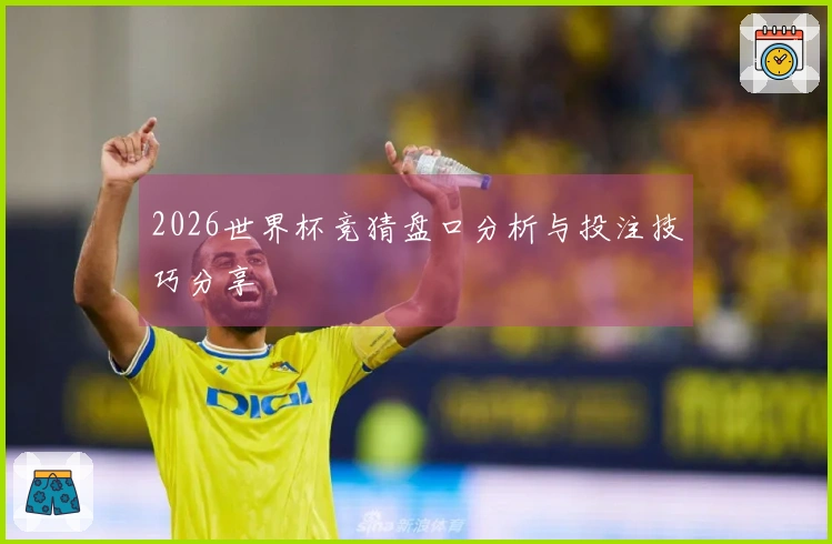 2026世界杯竞猜盘口分析与投注技巧分享