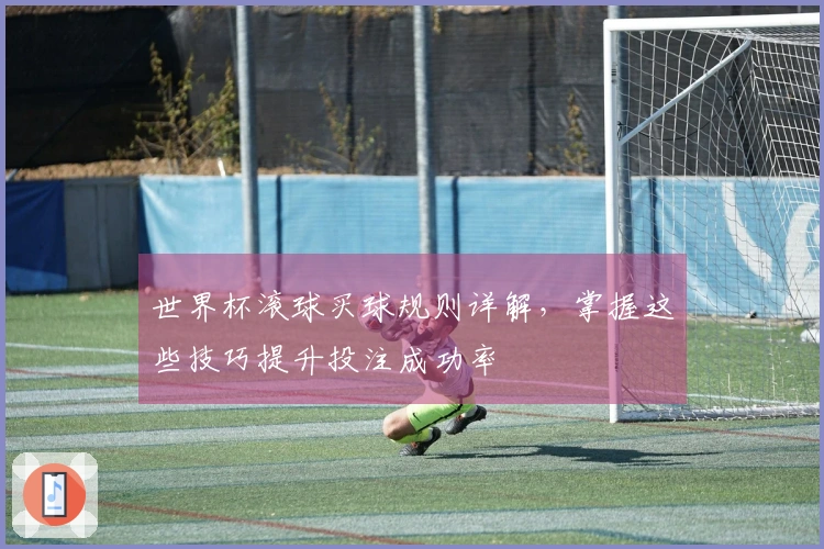 世界杯滚球买球规则详解，掌握这些技巧提升投注成功率