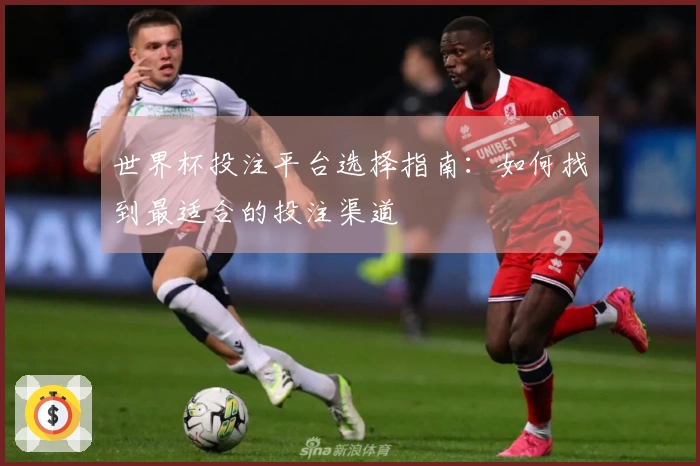世界杯投注平台选择指南：如何找到最适合的投注渠道
