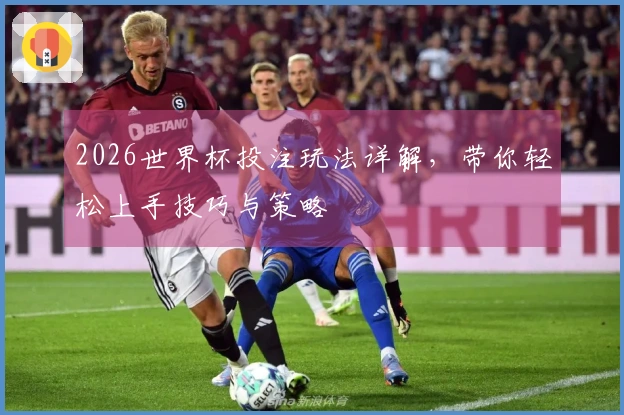 2026世界杯投注玩法详解，带你轻松上手技巧与策略