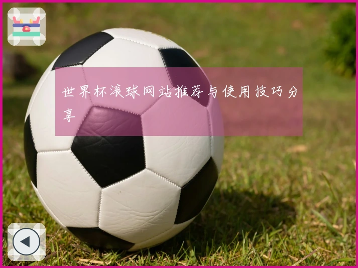 世界杯滚球网站推荐与使用技巧分享